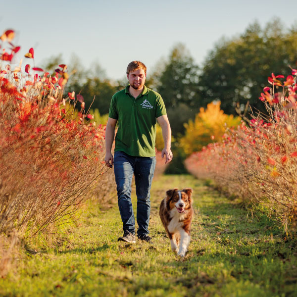 Lukas Reeßing mit Hund zwischen Aroniapflanzen